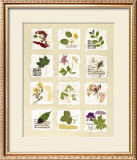 Kent Garden Fragments Poster by Hewitt 