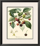 Cherries Art by Bessa 