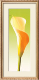 Green Callas Trilogy I Print by Inka Vogel