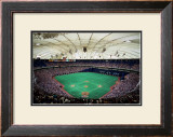 Metrodome, Minneapolis Posters by Ira Rosen
