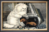 Persian Cat and Gold Fish Art by Ebby Hoyt