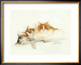 Katzen Posters by Moser Dede