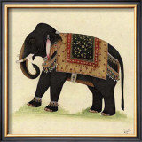 Elephant from India II Posters