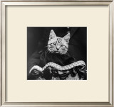 French Tabby Cat Prints by Mesh Gabriella