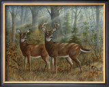 Deer Family II Art by Ron Jenkins