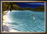 Trunk Bay Poster by Dan Mackin