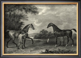 King Herod and Flying Childers Posters by John Scott