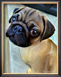 Baby Puglet Prints by Robert Mcclintock