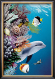 Dolphin's Reef Prints by Mark Mackay