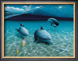The Chase, Maui Dolphins Prints by Mark Mackay