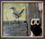 House Wren Posters by Jan Martin McGuire