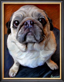 Pug on a Rug Prints by Robert Mcclintock