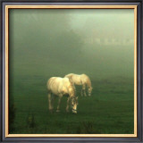 White Horses Field I Prints by Rick Schimidt