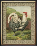 Roosters III Posters by Cassell's Poultry Book 