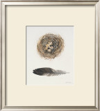 Field Study Nest Posters by Jurgen Gottschlag