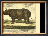 Elephant and Rhino Prints by Denis Diderot