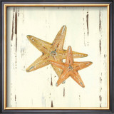 Starfish I Poster by Grace Pullen
