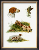 Brittany Prints by Rial 