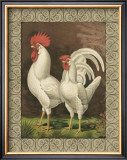 Roosters VI Art by Cassell's Poultry Book 