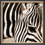 Zebra Pattern Prints by Frank & Susann Parker