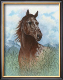 Appaloosa Portrait Posters by Ron Jenkins