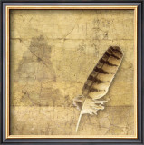 Owl Feather Posters by Susan Friedman