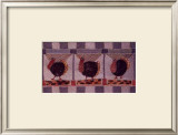 Turkey Trio Print by Willemien Stevens