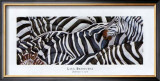 Zebras's Sea Print by LISA BENOUDIZ