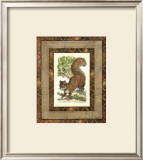 Rustic Squirrel Print