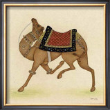 Camel from India I Prints by Ram Babu