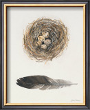 Field Study Nest Prints by Jurgen Gottschlag