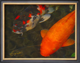 Green Rock Japanese Koi II Framed Giclee Print by erichan 