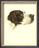 Pointer Prints by Danchin 