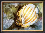 Under Water Angel Print by Renée Mizgala
