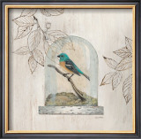 Aviary Display Poster by Arnie Fisk