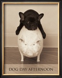 Dog Day Afternoon Prints by Jim Dratfield