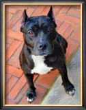 Blueberry Pit Bull Posters by Robert Mcclintock