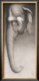 Toni, the Elephant Poster by Robert L. Caldwell