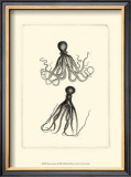 Sepia Octopus Poster
