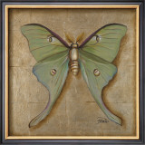 Luna Moth Prints by Patricia Quintero-Pinto