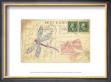 Postcard Dragonfly I Prints by Nancy Shumaker Pallan