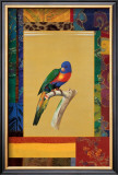 Australian Parrot Prints by Jaggu Prasad