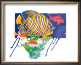 Regal Angel Fish Posters by Paul Brent