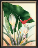Cardinal Prints by Frank Oda
