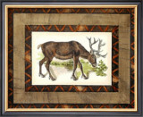 Rustic Moose Posters