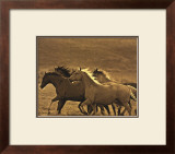 Like the Wind II Prints by Wendy Caro