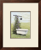 Bird Bath Poster by Kathleen Green