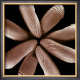 Convergence Prints by Michael Faragher