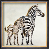 Zebre et Son Petit de Ndutu Posters by Danielle Beck