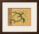 Hilihili Honu, Green Sea Turtle Framed Giclee Print by Lynn Cook
